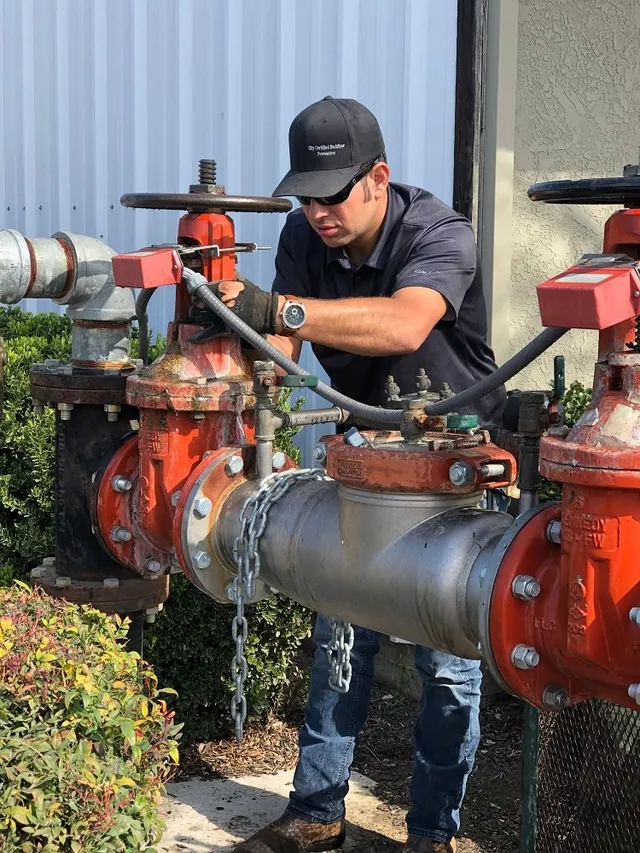 Large commercial backflow assembly in a protective cage